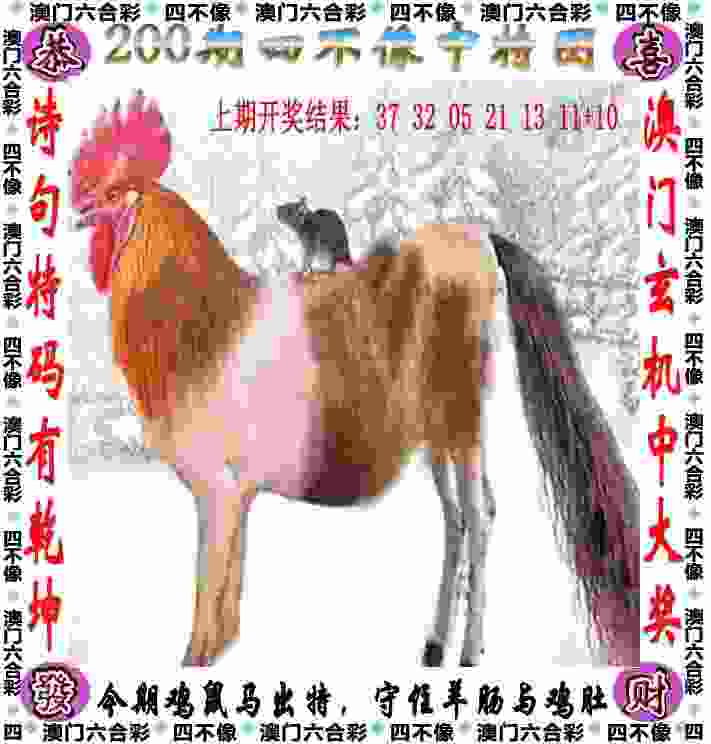 2025新门正版免费资本 v9.6.5.59 官方正式版 0